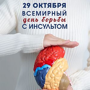 инсульт инсульт